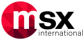 MSX International Techservices